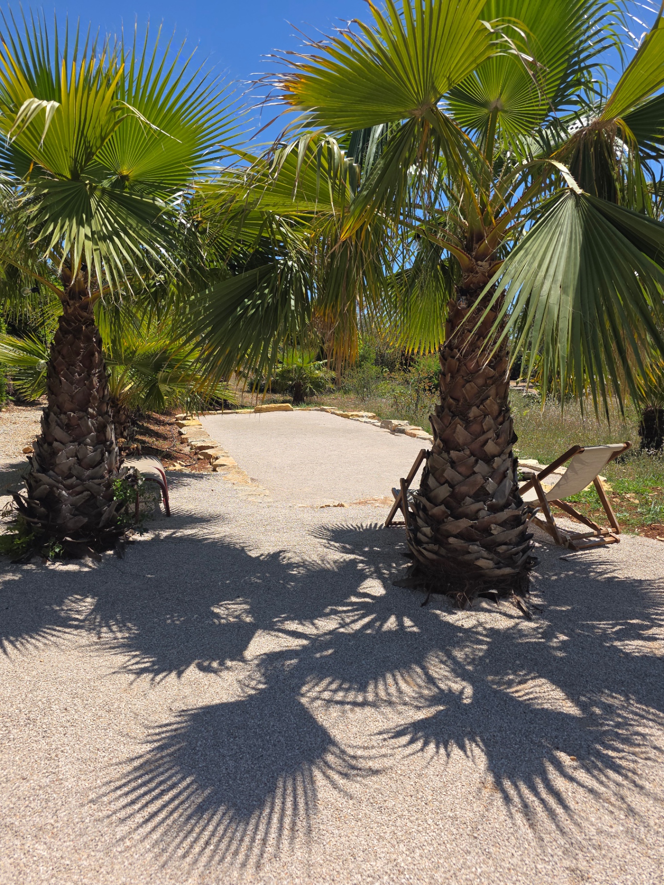 Hosts of Casa Amani welcoming guests in the garden
