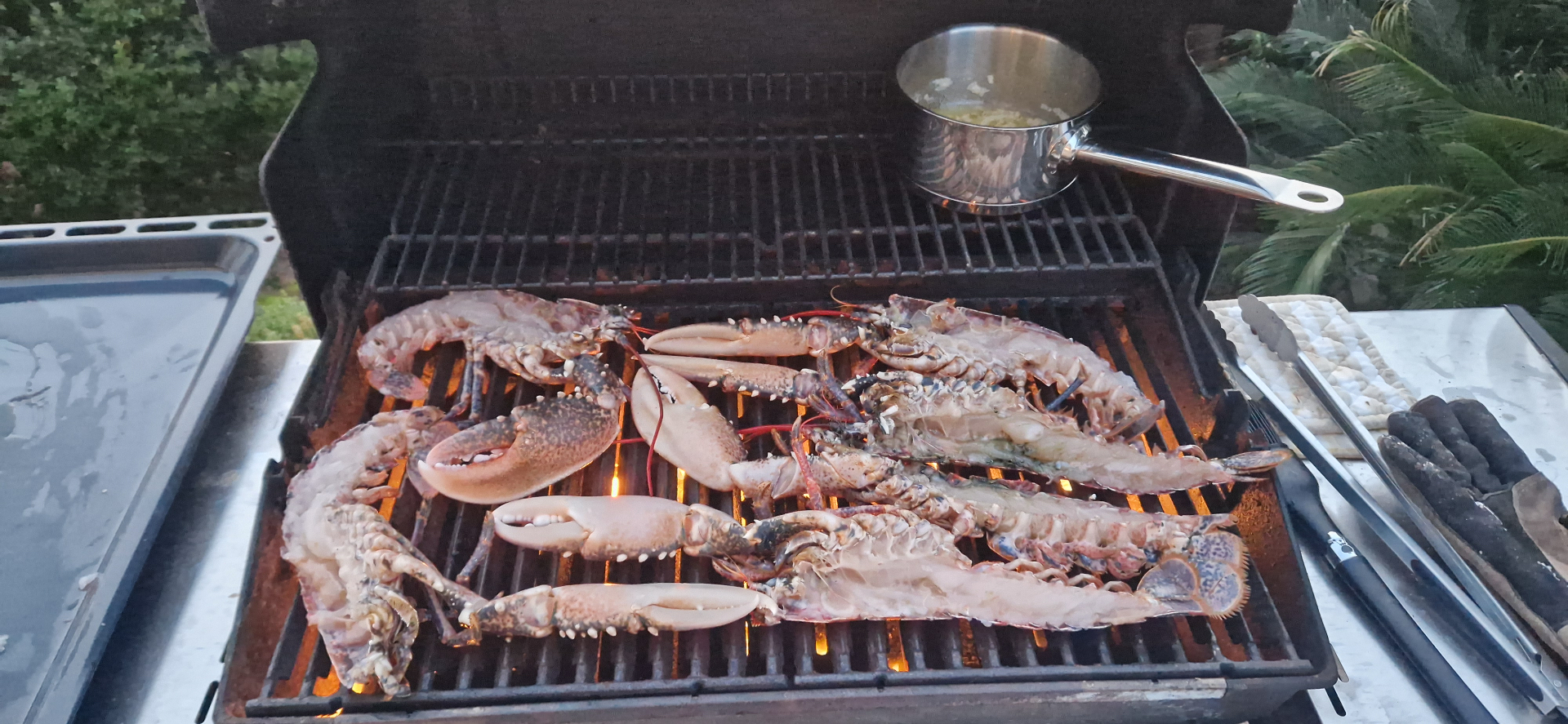Lobster on the BBQ at Casa Amani, Algarve