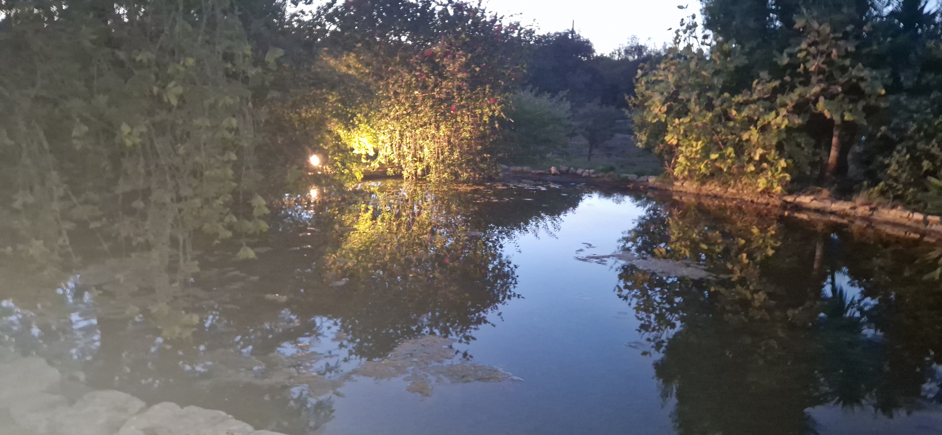 Pond at dusk at Casa Amani, Algarve