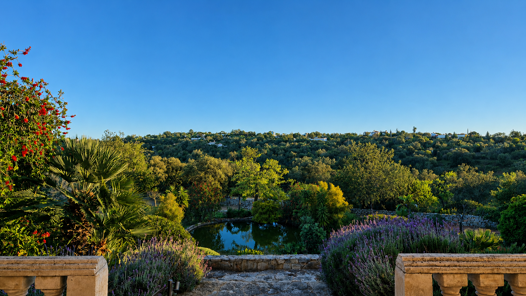A small pond full of life at Casa Amani in the Algarve