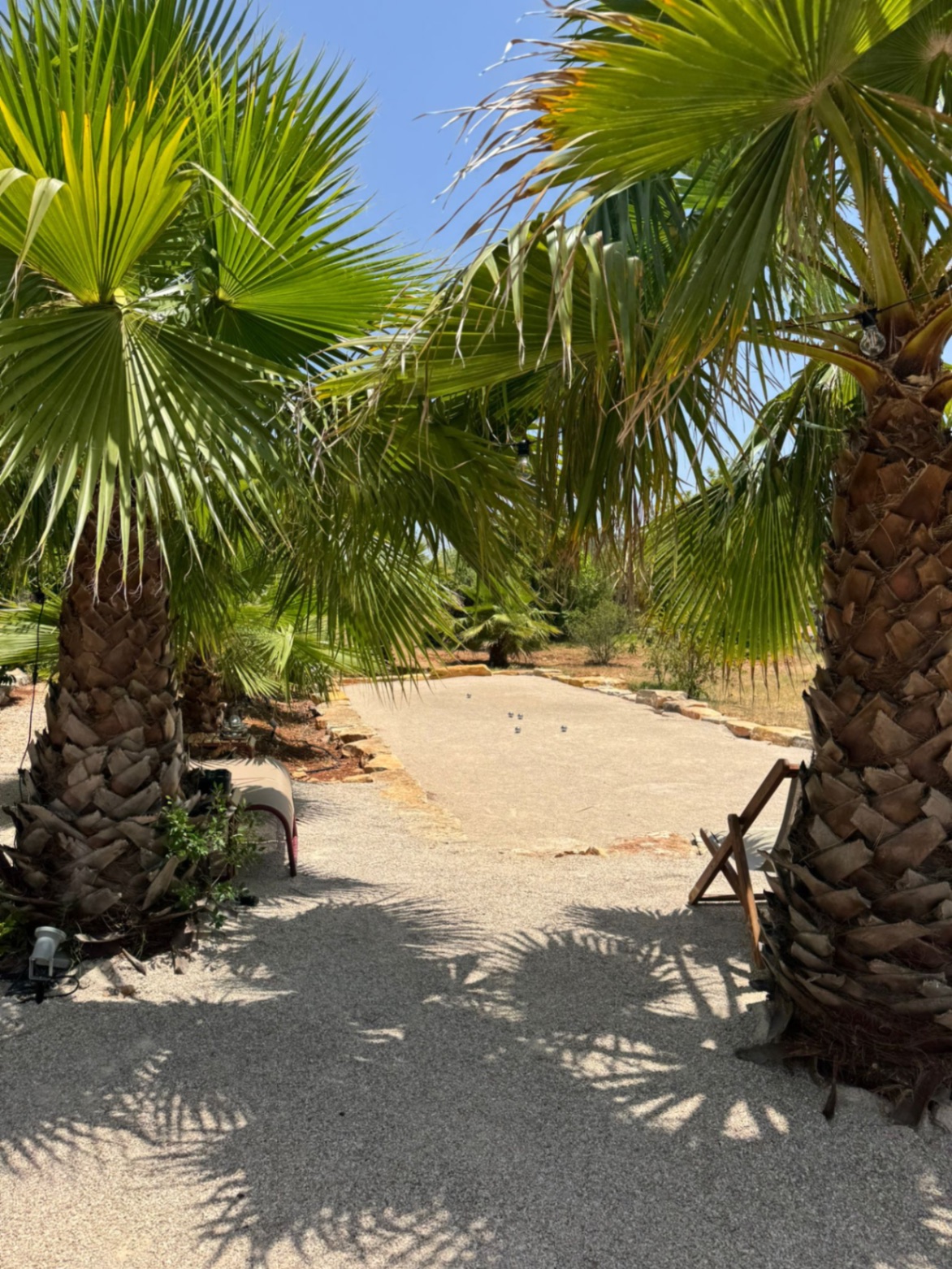 Pétanque under the palm trees at Casa Amani in the Algarve